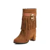 Frosted Tassel Boots High Heeled Mid-Calf Boots Thick Heeled Women's Boots Autumn and Winter