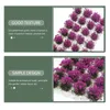 Dekorativa blommor Blomma klustermodell Bra gåvor Mini Garden Decorations Harts Color Violet