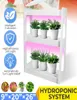 Smart Garden Kit Led Grow Light Hydroponic Growing Multifunctionele bureaulamp Planten Flower Hydroponics Tent Box Lights4157747