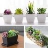 Ensemble de fleurs décoratives succulentes artificielles, plantes floquées, Mini fausses succulentes sans pot, décoration de jardin, Simulation de bonsaï de bureau