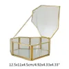 عرض مربع خاتم الزواج مربع تخزين الزجاج تيراريوم المجوهر