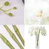 32 Farfalla artificiale Orchidea finta Phalaenopsis Fiore 6 pezzi Piante essiccate di orchidea artificiale per la decorazione domestica di nozze 240111