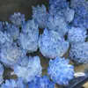Декоративные фигурки Редкий натуральный синий кристаллический кластер минеральный образец свадебный украшение Reiki Home Deco Deco