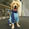 Vestuário para cães roupas outono/inverno cabelo dourado médio tamanho grande animal de estimação primavera/outono grande labrador quatro pernas hoodie inverno