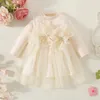 Vestidos de niña Vestido para niños pequeños Otoño Niñas Flor Malla Manga larga Moda Ropa de otoño Tul Dama de honor