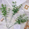 Simulation plant fake flower 16 money leaves a variety of eucalyptus home decoration plant outdoor layout cross-border W-