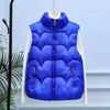 Gilets pour femmes Femmes 2024 Automne Hiver Puffer Gilet sans manches Femme Col montant Down Coton Manteau Dames Chaud Couleur Solide E322