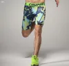 Wholecompression correndo shorts masculinos absorvente quickdry roupa interior respirável esportes ao ar livre calças justas 8553957