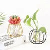 Lampes suspendues antioxydant hydroponique plante vase plantation petites plantes en pot verre fer bonsaï pot de fleurs noir