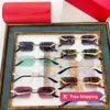 Lunettes de soleil de styliste, nouvelle boîte Kajia, Ins Star Network rouge, même lunettes de soleil simples et avancées CT0120o S2AF