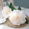 10pcs Big 2Head Peonies Flowers Flowers Flowers Home Table Decoration for Backdrop Wedding Phade Peony Holiday Party Layout Floral Layout