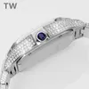 TW Montre de Luxe Babysbreath Diamond Watch 40mm 2824 자동 기계식 이동 남성 감시 손목 시계 relojes