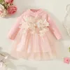 Girl Dresses Toddler Dress Autumn Girls Flower Mesh Long Sleeve Fashion Fall Clothes Tulle Bridesmaid