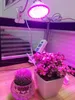 LED élèvent la lumière tente plante de thérapie rouge tentes à spectre complet plantes d'intérieur PC 240111