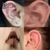 10pcs50pcs 36 boucles d'oreilles cerceau pour femmes nez anneau bouton perforé boucles d'oreilles corps luxe Zircon Cartilage bijoux 240110