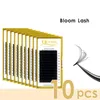 Quewel 10 Case Easy Fanning Eyelash Extension Blooming Eyelashes Thick Volume Lash Fast Fans Silk Fake Lashes Tools Wholesale 240111