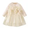 Girl Dresses Toddler Dress Autumn Girls Flower Mesh Long Sleeve Fashion Fall Clothes Tulle Bridesmaid