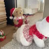 Hundkläder söt lejon vävd kjol uppsättning för jul och år med öronband värme husdjurskläder små hundar