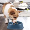 Köpek kaseleri besleyiciler köpek köpeği yavaş besleyici kase kaymaz kase anti-mastürbasyon anti-mizah petergon gıda besleme yemekleri orta küçük köpekler için köpek kase