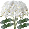 32 Farfalla artificiale Orchidea finta Phalaenopsis Fiore 6 pezzi Piante essiccate di orchidea artificiale per la decorazione domestica di nozze 240111