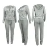 Autumn Winter Long Sleeve Hooded Tops och joggerbyxor Sätt avslappnad fast färg Velvet Tracksuit Women Two Piece 240110