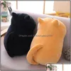 Filmer TV PLUSH Toy P Söt mjuk kattkudde kudde kawaii leksaker barn barn gåva 25 cm 30 cm 50 cm la214 droppleverans 2021 gåvor st dhkrq