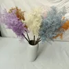 Fleurs décoratives 71CM, neige artificielle, fleur en soie pour la saint-valentin, décoration de maison, aménagement paysager de mariage