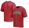 Anpassad 2023 Team Mexico Baseball Jersey Jose Urquidy Javier Assad Joey Meneses Jonathan Aranda Cesar Vargas Patrick Sandoval Jojo Romero Julio Urias Luis Urias