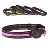 Hundehalsbänder, LED-Halsband, USB-wiederaufladbar, leuchtendes Haustier-Licht, blinkende Halskette für Hunde, Nachtspaziergang, Sicherheit, Größe