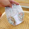 Dog Apparel Pet Physiological Pants Diaper Clothes Menstrual Princess Panties Breathable Yarn Skirt