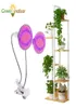 Indoor LED Grow Light Plant Planken Lamp Voor Bloemen Phyto Met Bureau Clip Fitolampy Fitolamp Lichten Kruiden Zaad9025247