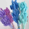 Otras artes y manualidades 20-50 piezas Plantas naturales Piedras preciosas de colores Hierba Cola de conejito Boho para decoración del hogar Flor de pampa seca Boda Pastel de flores falsas DIY YQ240111