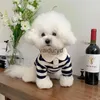 Ubrania odzieży dla psa Schnauzer Teddy York Shire Polo Shirt Letna sukienka Pasped Pet T-Shirt Costume Soft Pullover Suit for Puppyvaiduryd