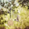 Autres fournitures d'oiseaux Mangeoire de cage à oiseaux en plein air Suspendue Décoration de jardinage de cour de jardin