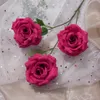 Driekoppige diamanten roos Enkele tak Afgeronde roos Nieuwe trouwfotografie Sierteelt Nepbloem Verse halbloem Muurzijde WMC