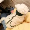 Vêtements de chien hiver automne vêtements de chiens de compagnie envoyer écharpe polaire manteaux de luxe pull chihuahua pour petits vêtements moyens yorkies pug