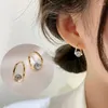 Hoepel oorbellen lymfe lymfviteit Germanium oor ornament Magnetherapie gewichtsverlies lymfatisch cadeau voor vriendin vrouw