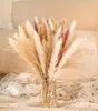 Flores decorativas 85 Uds Boho decoración del hogar arreglos secos blanco Natural Pampas hierba caña colas Trockenblumen Dekoration