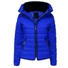 Women's Down Jacket Coat Chic Stand Collar Solid Color Puffer Zipper Closure All-Match Women