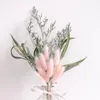 Dekorativa blommor Gypsophila växter älskares svansgräs lämnar babysbreath rospampor torkad blomma bukett diy hantverk avnekoration