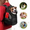 Sac de transport pour chat, caisses, maisons, sac à dos de transport pour chien, extérieur, maille ventilée, double épaule, sac de voyage pour petits chiens, chiots Travelingvaiduryd