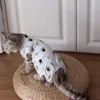 Costumes de chat costumes de récupération de chien confort