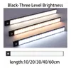 Luci notturne Lampade Sensore umano intelligente Luce a LED ultrasottile Banda di aspirazione magnetica wireless Ricaricabile Striscia per guardaroba per portico