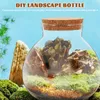 Vaser 2 datorer Micro Landscape Ecological Bottle DIY TOM BLOMER POTS Glass Plant Cork Terrarium Moss Jar