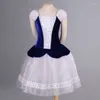 Stage Wear Taille personnalisée Femmes Filles Performance Longue Velours Bleu Rose Robe Tutu Romantique