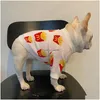 快適なニット猫犬セーターファッション高品質のソフトシュナウザーフレンチビルドッグコーギーテディ毛のない猫秋の冬のセーターdrdh0su