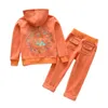 Rouno de veludo suculento para crianças outono/inverno feminino conjunto de veludo moletons e calças de duas peças terno infantil