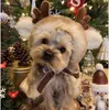 Fantasia de Natal para cachorro com capa engraçada de cachorro de alce, capa de gato de rena de Natal com chifres, roupa de cachorrinho de férias, roupas de lã para animais de estimação para Chihuahua Yorkie, marrom (médio, marrom) A915