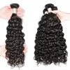 PerisModa Water Wave Bundels Voor Vrouwen Peruaanse Weven Maagdelijk Menselijk Haar Nat en Golvend Menselijk Haar Bundels 1/3/4 Stuks 240111