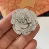 AAAA Designer Broches Pins Kristal Merklogo Grote Geschenken Hoge Kwaliteit Koperen Sieraden Nooit vervagen Sieraden Met Stempel en Doos Diameter 4 cm